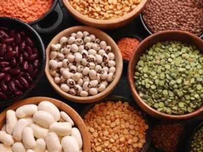 Pulses